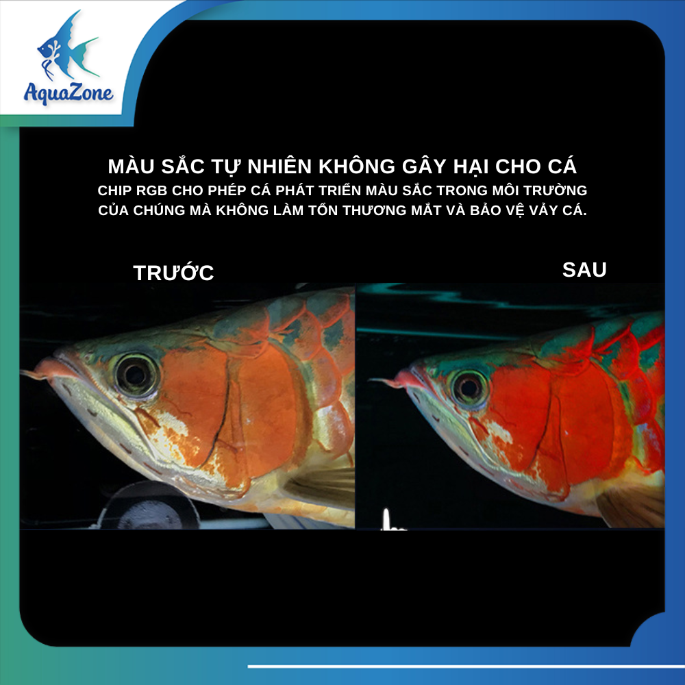 Đèn led tròn bể cá Deyao 2D, đèn led RGB tích hợp UV - AquaZone - Siêu ...