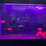 Đèn Led Riverside M3 đa sắc dành cho hồ cá, phối màu RGB bằng phím lăn tiện lợi như dùng App