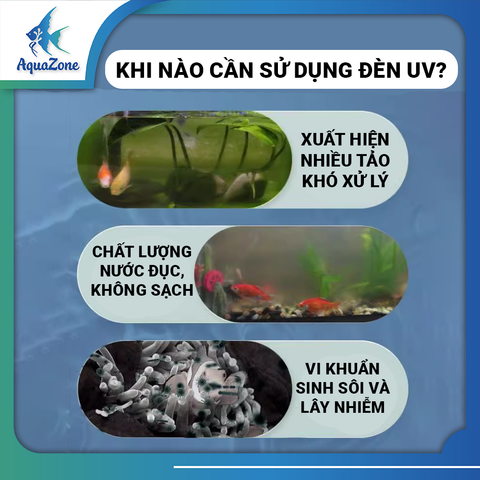 Đèn UV YUS YEE  9w 11w 13w hẹn giờ diệt tảo khử khuẩn bể cá, hiệu năng mạnh mẽ, tiết kiệm điện
