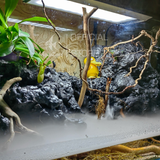 Bình xịt FOAM màu đá, gỗ trang trí bể cá, bể thủy sinh