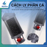 Máy lọc 5 trong 1 Kintons - Máy lọc tích hợp tạo sóng, cung cấp oxy, bơm, hút cặn hiệu quả