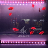 Đèn led Riverside 5D 5 hàng bóng chuyên dụng cho Huyết Long, Bối, đỏ cá không đỏ nước