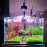 Đèn lon Flat xoay 360 độ độc đáo Riverzone ánh sáng RGB hoặc Trắng có sẵn giá treo cho bể cá thủy sinh, bể suối