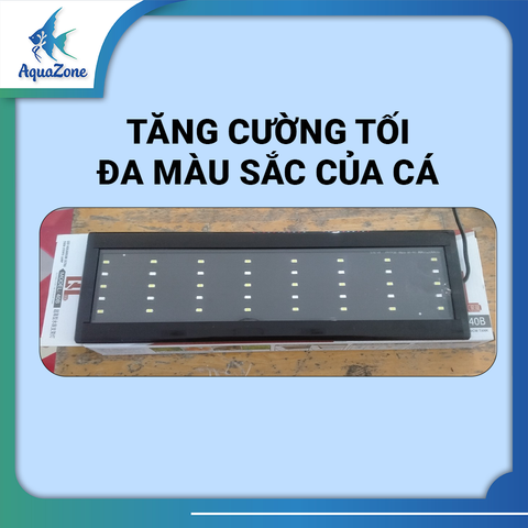 Đèn máng QUANLONG 5 hàng bóng ánh sáng chất lượng cao, tăng màu sắc cho cá QL
