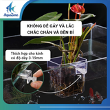 Khay trồng cây thủy sinh, khay trồng bằng nhựa acrylic cho bể cá