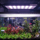 Đèn Netlea Hệ AT5s+RGB Cao Cấp Dành Cho Bể Cá