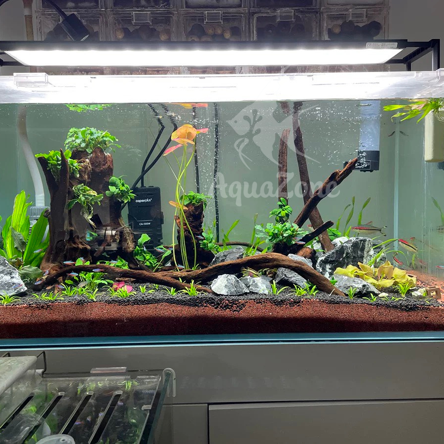 Đèn Netlea Hệ AT5s+RGB Cao Cấp Dành Cho Bể Cá - AquaZone - Siêu thị cá cảnh