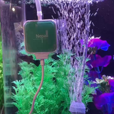 Sủi oxy mini siêu êm Nepall