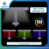 Đèn LED X MINI chỉnh màu RGB tạo môi trường phù hợp cho bể cá