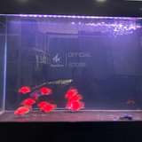 Đèn Led Riverside M3 đa sắc dành cho hồ cá, phối màu RGB bằng phím lăn tiện lợi như dùng App