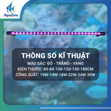 ĐÈN LED TRÒN XML 2 HÀNG BÓNG ĐỎ/ VÀNG/ TRẮNG DÀNH CHO CÁ RỒNG