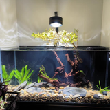Đèn lon Flat xoay 360 độ độc đáo Riverzone ánh sáng RGB hoặc Trắng có sẵn giá treo cho bể cá thủy sinh, bể suối