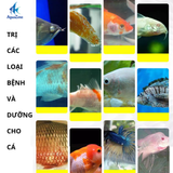Dưỡng cá Tetra Nhật chính hãng gói 50gr trị nấm và khử khuẩn cho bể cá, sản phẩm hỗ trợ cá khỏe
