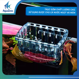 Lọc váng Yee 3W có thể điều chỉnh lưu lượng, hoạt động êm ái