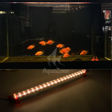 Đèn led Riverside 5D 5 hàng bóng chuyên dụng cho Huyết Long, Bối, đỏ cá không đỏ nước