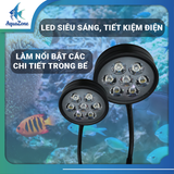 Đèn rọi đế gỗ Riverzone ánh sáng trắng dùng cho bể thuỷ sinh, tiểu cảnh