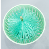 Hút mặt Hồ Koi 2B kèm thêm cọ và nắp đậy ngăn cặn lớn