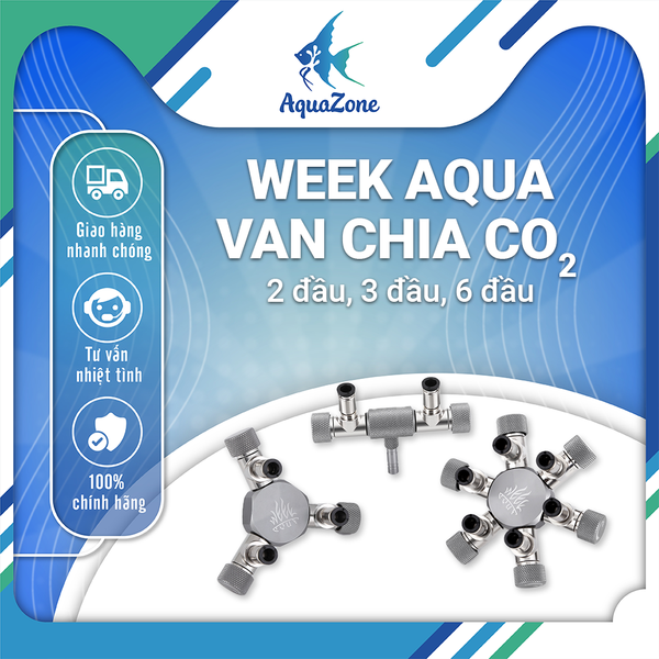 Van chia Co2 Week Aqua chất lượng cao 2 đầu 3 đầu 6 đầu