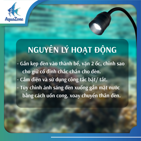 Đèn rọi XML 3 màu trắng, vàng, ấm