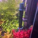 Thanh sưởi bể cá Cherlam 50w đến 300w, thanh sưởi ấm bể cá hiện đại, tùy chỉnh nhiệt độ