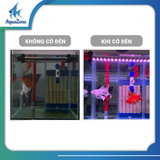 Đèn led tròn XML 4 hàng bóng đỏ/vàng/trắng siêu sáng nâng cấp độ màu cho cho cá Koi - cá rồng