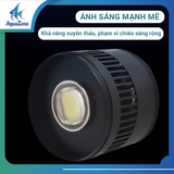Đèn lon LC dành cho cá LED hiện đại ánh sáng không chớp nháy, bảo vệ mắt