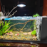 Đèn lon Flat xoay 360 độ độc đáo Riverzone ánh sáng RGB hoặc Trắng có sẵn giá treo cho bể cá thủy sinh, bể suối