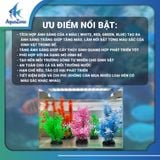 Đèn máng XML 4in1 K3Q 3 hàng bóng hệ ánh sáng WRGB