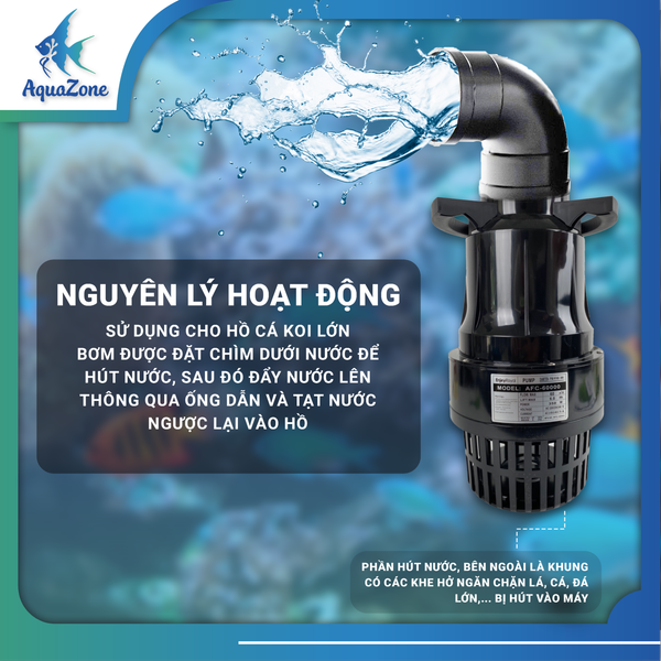 Bí quyết chọn và vận hành bơm hồ cá Koi – Đem lại không gian sống lý tưởng cho cá Koi của bạn