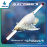 Đèn led hồ cá Riverside RHU T8 ánh sáng trắng, đèn tanning chuyên dành cho cá rồng