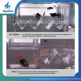 Lồng cách ly cá chuyên cách ly cá con, nhựa Acrylic trong suốt, bền bỉ