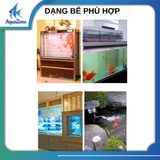 Bơm chìm bể cá Jebao DCQ 5000, 6000, 8000, 10000, bơm chìm có thay đổi tần số