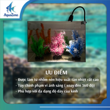 Đèn rọi XML 3 màu trắng, vàng, ấm
