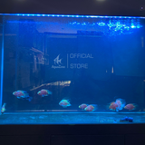 Đèn Led Riverside M3 đa sắc dành cho hồ cá, phối màu RGB bằng phím lăn tiện lợi như dùng App