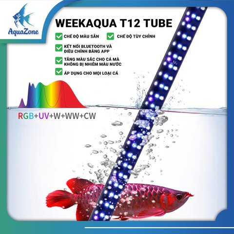 Đèn bể cá Week Aqua T12 TUBE hiệu chỉnh App tiện lợi với 18 chế độ màu sẵn đa dạng cho mọi loại cá