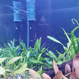 Thanh sưởi bể cá Cherlam 50w đến 300w, thanh sưởi ấm bể cá hiện đại, tùy chỉnh nhiệt độ