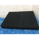 Mút đen lọc nước 50x50cm, dày 5cm, 3cm, 2cm