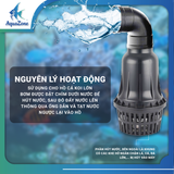 Máy bơm tạt AFC 18000-35000 lưu lượng cực khủng dành cho hồ cá Koi