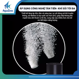 Máy sủi oxy siêu êm cao cấp 2 vòi Netlea, sủi khí tối đa, sủi tích điện có sẵn dây sủi, 2 đá sủi