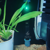 Thanh sưởi bể cá Cherlam 50w đến 300w, thanh sưởi ấm bể cá hiện đại, tùy chỉnh nhiệt độ