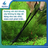 Kéo cắt tỉa cây thủy sinh Voonline thép cacbon không gỉ - Dụng cụ trồng cây cho bể thủy sinh