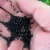 Phân nền Netlea Lambo Professional 3L & 9L (1-3mm; 3-5mm)