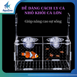 Lồng cách ly cá chuyên cách ly cá con có lỗ cho ăn, nhựa trong suốt, bền bỉ