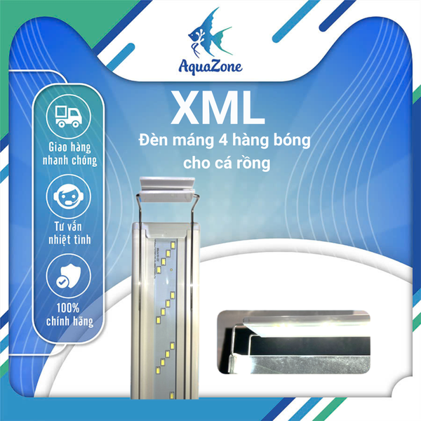 Đèn máng XML 4 hàng bóng cho cá rồng