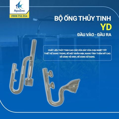 BỘ ỐNG THỦY TINH YD ĐẦU VÀO - ĐẦU RA