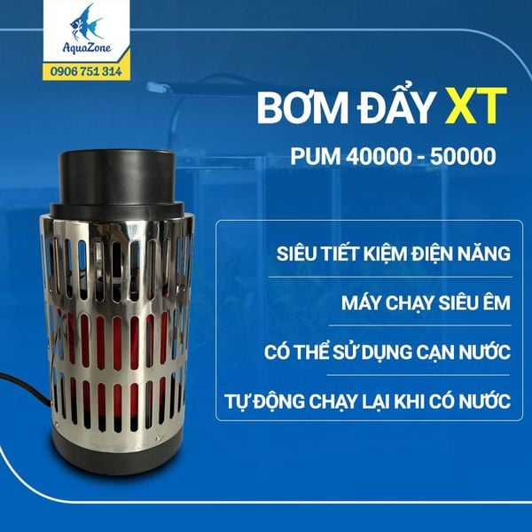 Bơm Enjoy Royal PUM 40000 - 50000 lưu lượng lớn, tiêt kiệm điện, chạy siêu êm