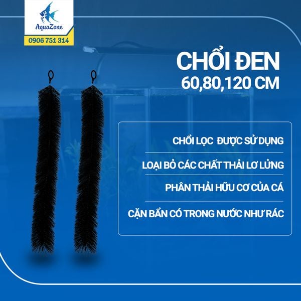 Chổi đen lọc nước hồ cá