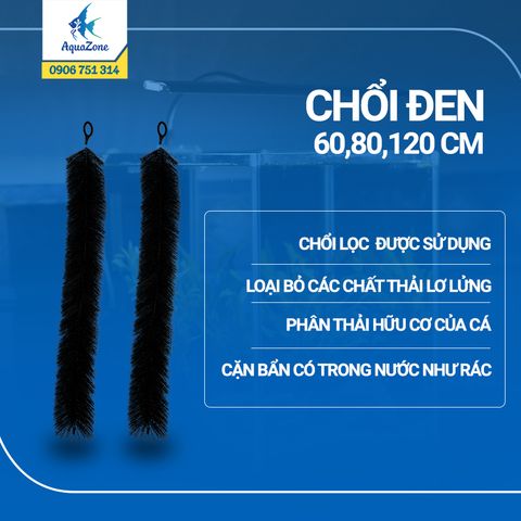 Chổi đen lọc nước hồ cá