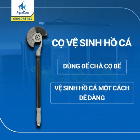 Cọ vệ sinh hồ cá
