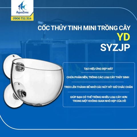 CỐC THỦY TINH MINI TRỒNG CÂY YD SYZJP